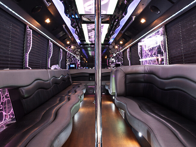 28 Passengers Limousine Bus