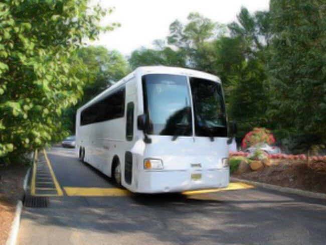 Limousine Buses with Wood Floors