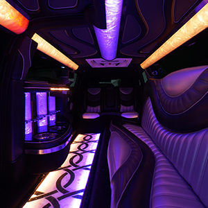 Wide party bus